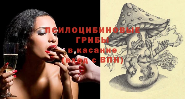 мет Арсеньев